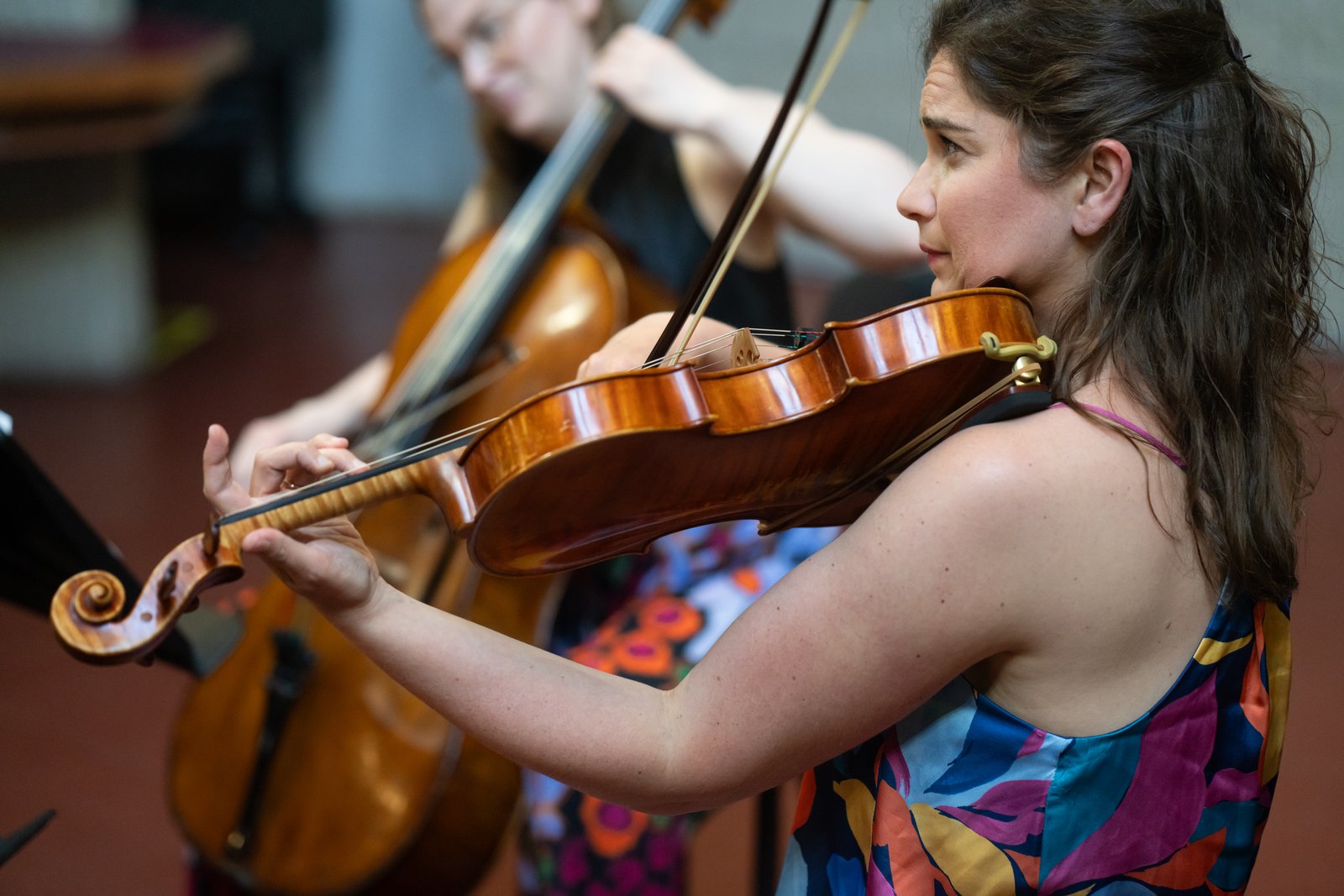 Chameleon Arts Ensemble - Homeward Bound